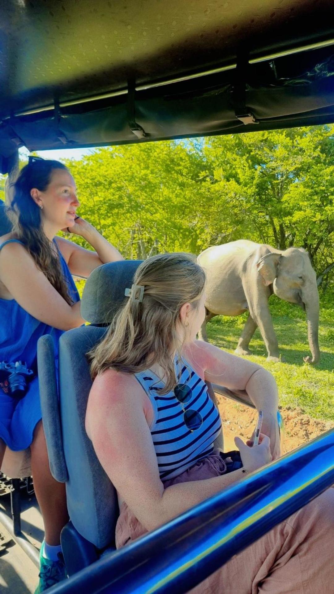 White Rose Safari Home Stay Удавалаве Екстериор снимка