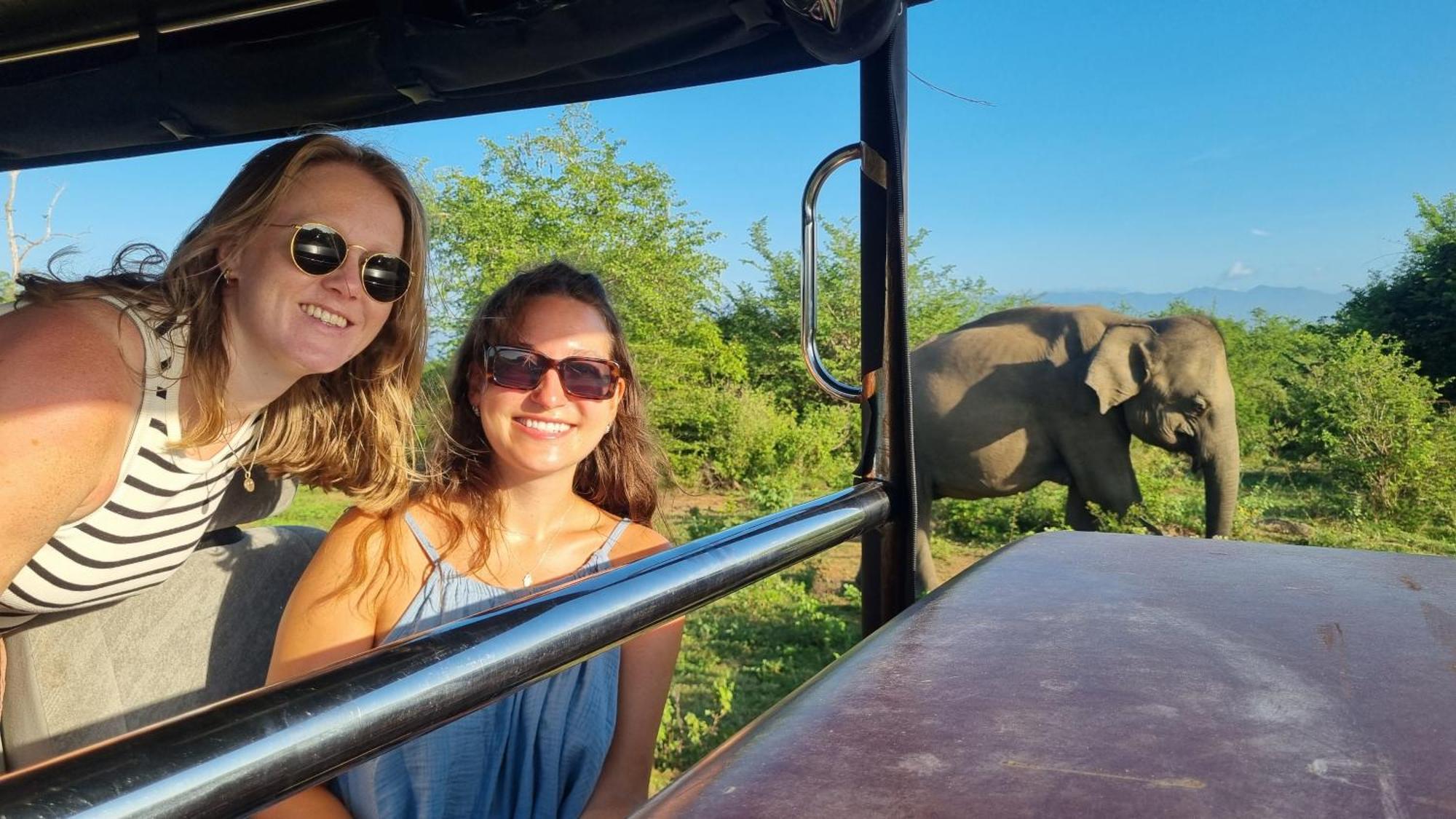 White Rose Safari Home Stay Удавалаве Екстериор снимка