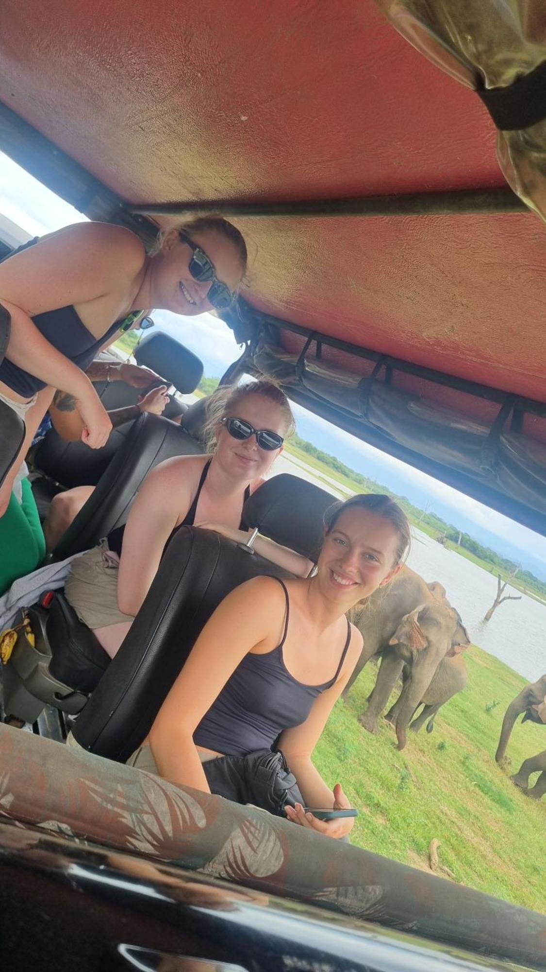 White Rose Safari Home Stay Удавалаве Екстериор снимка