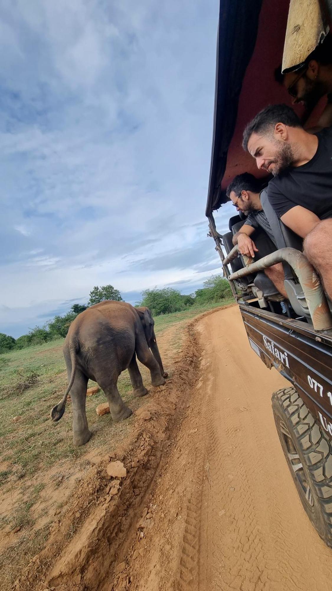 White Rose Safari Home Stay Удавалаве Екстериор снимка