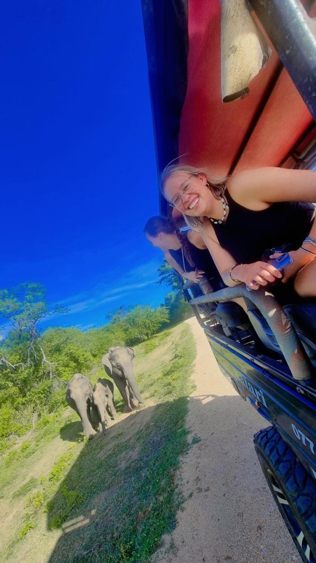 White Rose Safari Home Stay Удавалаве Екстериор снимка